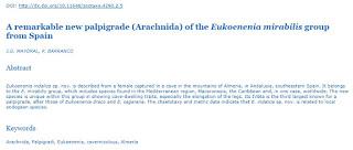 Nueva especie de palpígrado en cuevas de Almería Nueva especie de palpígrado en cuevas de Almería