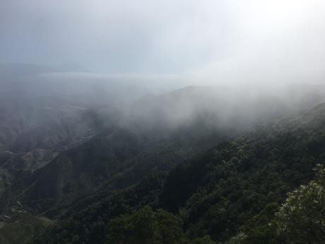 SIETE DÍAS EN TENERIFE