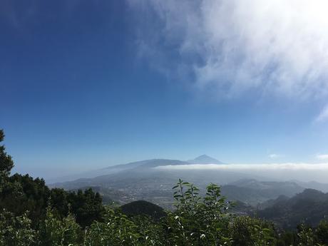 SIETE DÍAS EN TENERIFE