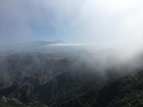 SIETE DÍAS EN TENERIFE