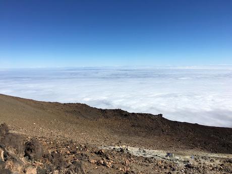 SIETE DÍAS EN TENERIFE