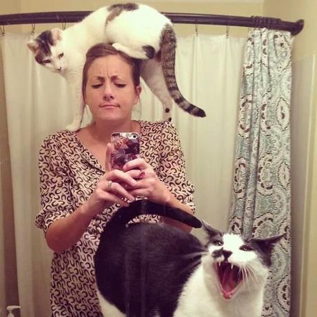 10 Gatos graciosos obligados a una selfie con sus dueños