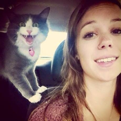 10 Gatos graciosos obligados a una selfie con sus dueños