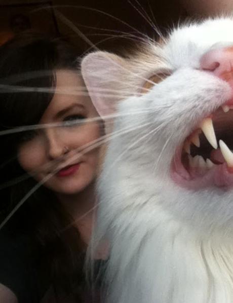 10 Gatos graciosos obligados a una selfie con sus dueños