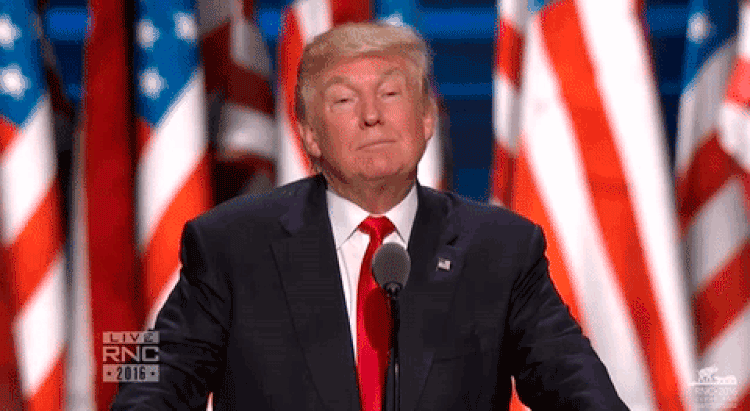 Esta marca de cerveza quiere reemplazar el muro de Trump por una barra de bar Esta marca de cerveza quiere reemplazar el muro de Trump por una barra de bar