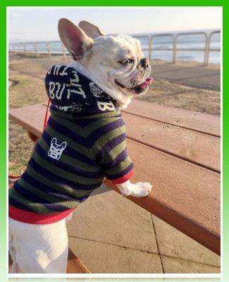 polera para bulldog frances