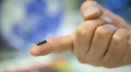 La Nanotranferencia de Tejidos puede recuperar Organos Dañados La Nanotranferencia de Tejidos puede recuperar Organos Dañados