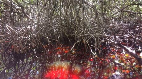 Lugares para Visitar en Mérida Yucatán en 3 Días Lugares para Visitar en Mérida Yucatán en 3 Días