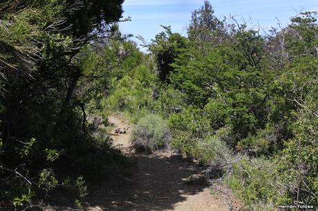 Sendero Laguna del Toro