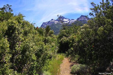 Sendero Laguna del Toro