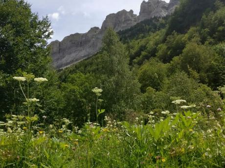 Qué ver y hacer cerca de Aínsa cola-caballo-foto-ruta