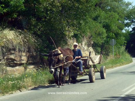 Atravesando el Pirin, aparecían carros de caballos cada pocos kilómetros.