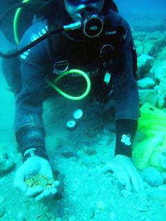 Canales YouTube Canales YouTube