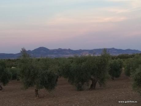 Ruta Nocturna al Oppidum Hornachuelos