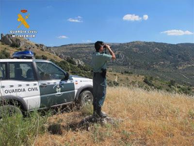 Guardia Civil