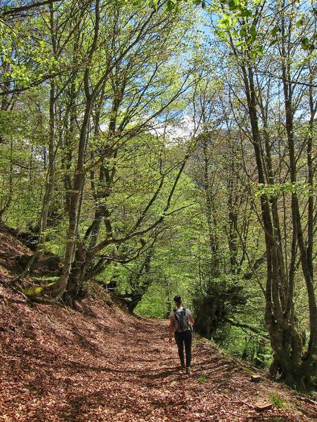 Pico Montoviu desde Tarna por el Cordal de la Bolera Pico Montoviu desde Tarna por el Cordal de la Bolera