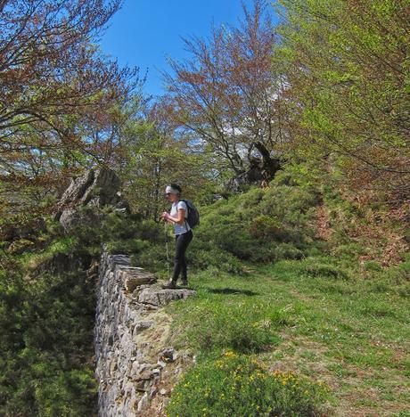 Pico Montoviu desde Tarna por el Cordal de la Bolera