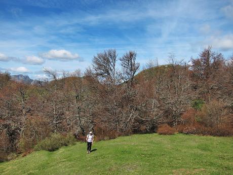 Pico Montoviu desde Tarna por el Cordal de la Bolera Pico Montoviu desde Tarna por el Cordal de la Bolera