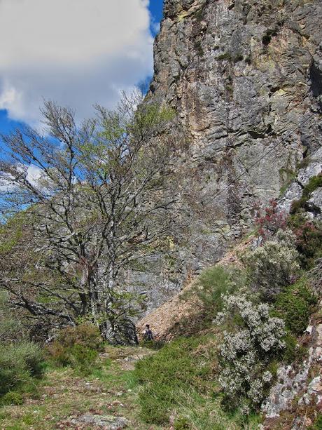 Pico Montoviu desde Tarna por el Cordal de la Bolera