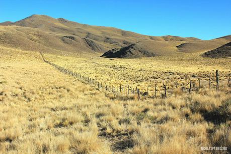 Parque Los Cardones: una muestra de diversidad andina Parque Nacional Los Cardones