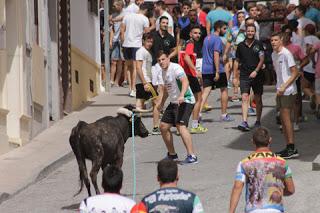 EL TORO DE CUERDA DE LA AURORA, PERFECTO PREÁMBULO PARA EL XIV CONGRESO NACIONAL DEL TORO DE CUERDA