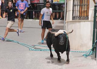 EL TORO DE CUERDA DE LA AURORA, PERFECTO PREÁMBULO PARA EL XIV CONGRESO NACIONAL DEL TORO DE CUERDA