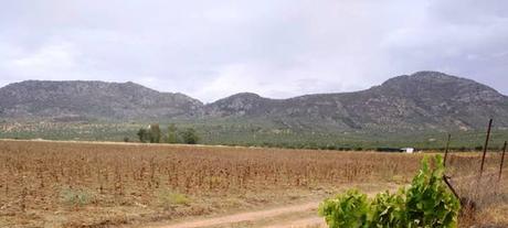 SONETO A LA SIERRA DE PELA