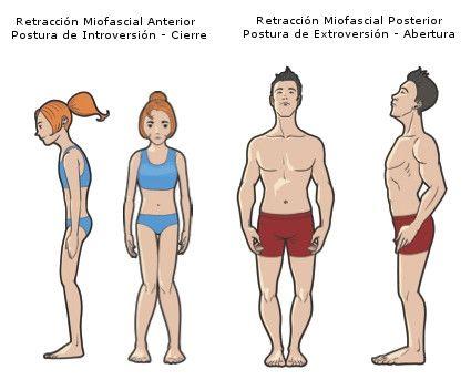 Nuestro Cuerpo, algo que cuidar y mimar