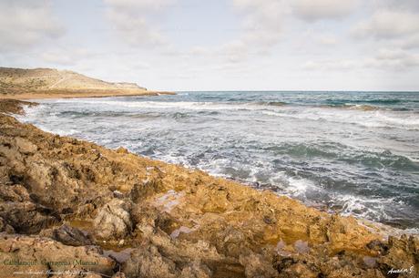 PARQUE REGIONAL DE CALBLANQUE. CARTAGENA (MURCIA)