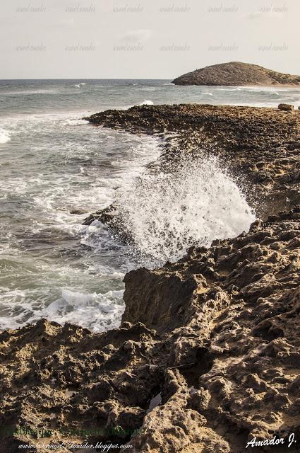 PARQUE REGIONAL DE CALBLANQUE. CARTAGENA (MURCIA)