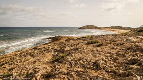 PARQUE REGIONAL DE CALBLANQUE. CARTAGENA (MURCIA)