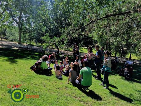 Tres mil escolares ven cien especies de aves en 130 parques de Madrid