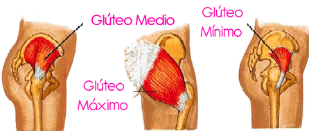 Los 10 Mejores ejercicios para glúteos perfectos Si hay u... Los 10 Mejores ejercicios para glúteos perfectos Si hay u...
