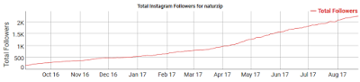 Seguidores en Instagram: el caso NaturZip