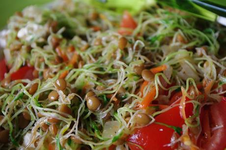 ENSALADA DE GERMINADOS DE LENTEJAS