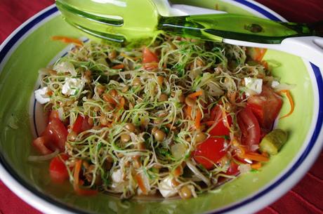 ENSALADA DE GERMINADOS DE LENTEJAS