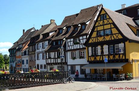 Rincones. Le Marché Couvert. Colmar