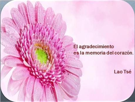 Dando Gracias a la Vida Dando Gracias a la Vida