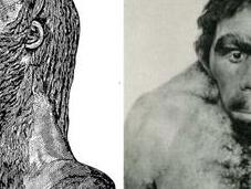 causó extinción neandertales