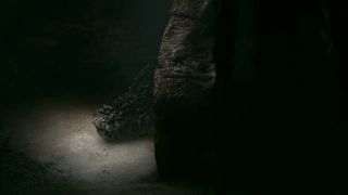 El territorio de la bestia (Rogue, Greg McLean, 2007. AUSTRA / EEUU & GB) El territorio de la bestia (Rogue, Greg McLean, 2007. AUSTRA / EEUU & GB)