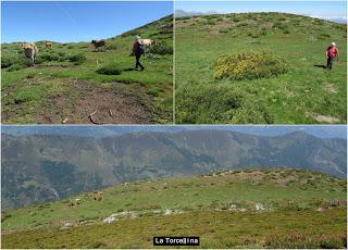 Payares-Mazariezas-Ceyanca-Las Velongas-Bezmuy-Munío