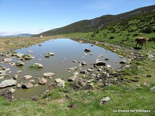 Payares-Mazariezas-Ceyanca-Las Velongas-Bezmuy-Munío