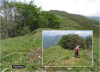 Payares-Mazariezas-Ceyanca-Las Velongas-Bezmuy-Munío