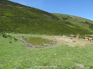 Payares-Mazariezas-Ceyanca-Las Velongas-Bezmuy-Munío