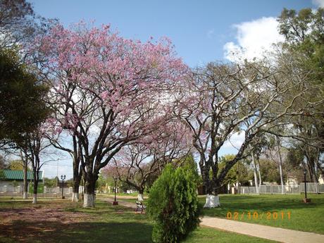 Una plaza sanmartiniana