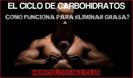El Ciclo de Carbohidratos, Una Poderosa Estrategia Para Eliminar Grasa El Ciclo de Carbohidratos, Una Poderosa Estrategia Para Eliminar Grasa