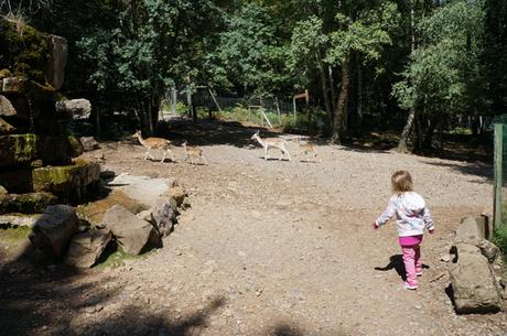 La Cuniacha: plan con niños en el Pirineo