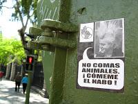 ARTÍCULO: Activismo en defensa de los seres sintientes