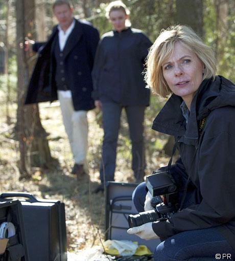 Esperando a Sebastian Bergman Esperando a Sebastian Bergman