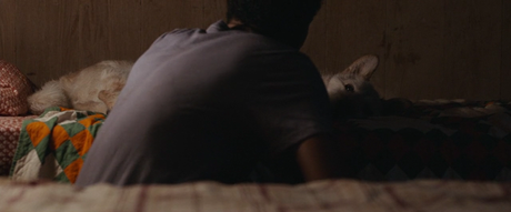 It Comes at Night - 2017 It Comes at Night - 2017